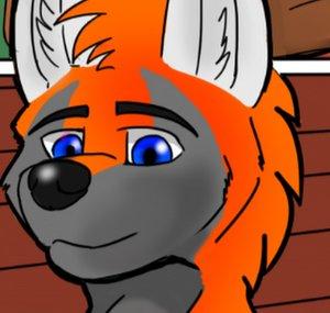 Maverick Wolf