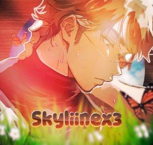Skyliinex3