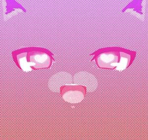 squareheadcat
