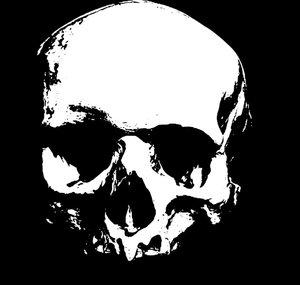 Surviving The Horror
