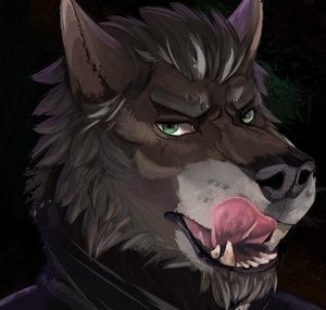 Aennor