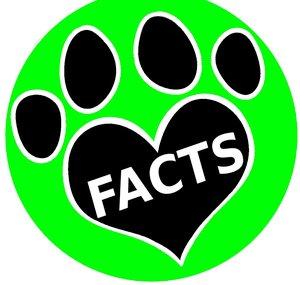 Animal Facts (Fun Animal Videos) 