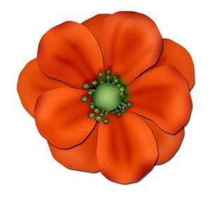 Blumenweltweit