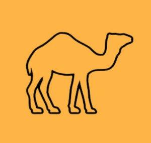 Clever Camel