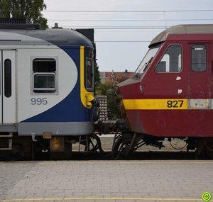 Daan Trein