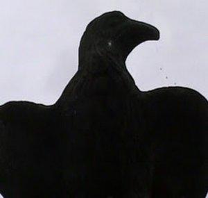 enrico20087