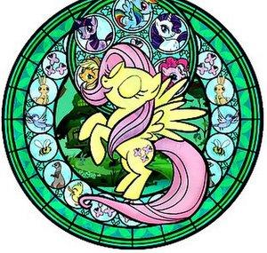 Flutter Shy