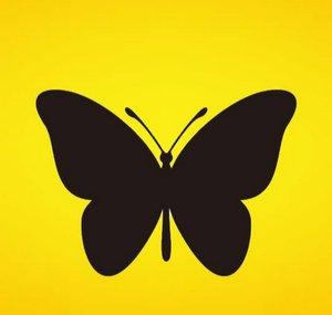 Madame Butterfly