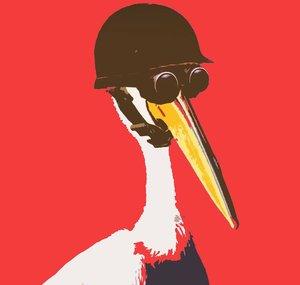 Modest Pelican Clips