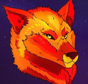 NovaTheSpaceWolf
