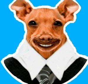 Pinscher Games