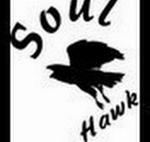 Soulhawk