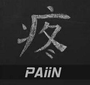 Team PAiiN