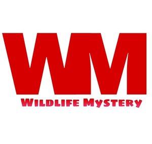 WiLdLiFe [Mystery]
