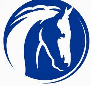 World Horse Welfare