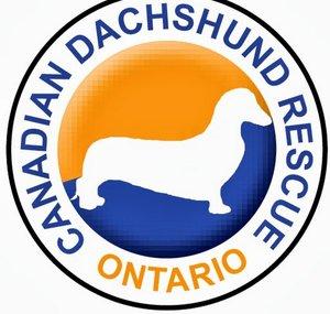 Canadian Dachshund Rescue (Ontario)