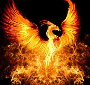 DanPhoenix