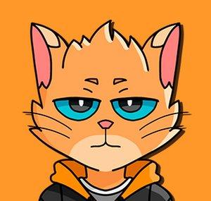 Gato de Sapato