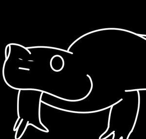 Hypothetical Salamander