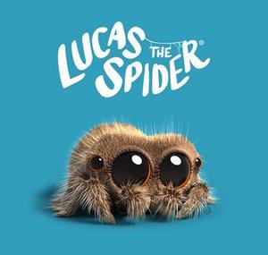 Lucas the Spider