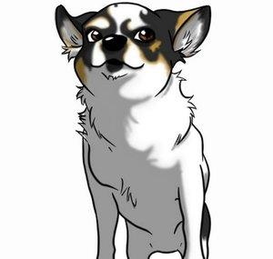 pablothechi
