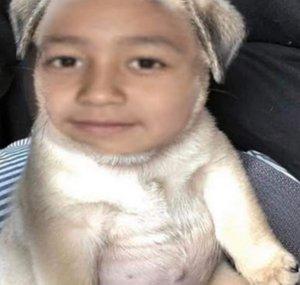 PUVLO BEBE