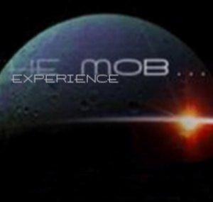 THE MOB EXPERIENCE