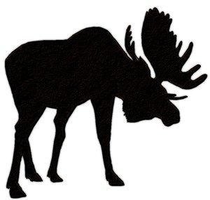 The moos3