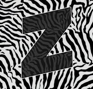 TheFlamingZebra | Mental