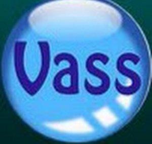 Vass