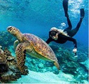 Visit Bundaberg