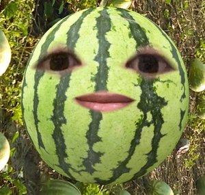 Watermelon Reacts