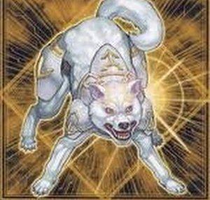 YGOPACKS