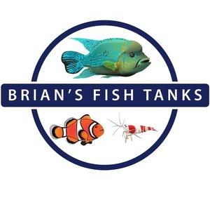 Brian's Fish Tanks (Aquatic Support Systems)