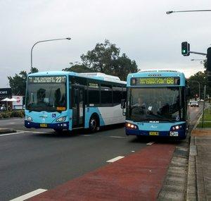 Buses Of The Central Coast