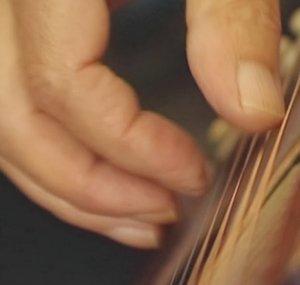 Countrymuziek uit Hattem.