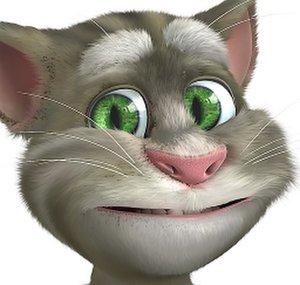 crazycatfilmz