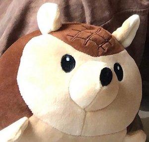 Dill the Dillo