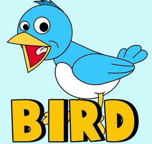 ItsBirdsWorld