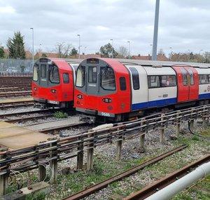 Jubilee Di