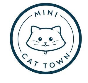Mini Cat Town