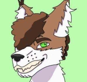 PawsTheFolf