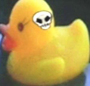 Poccola