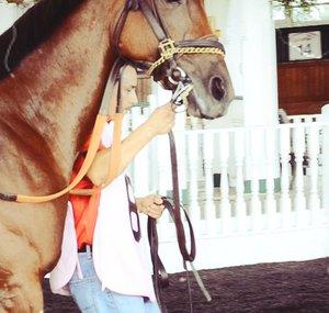 PointlessHorseRacing