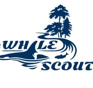 Whale Scout