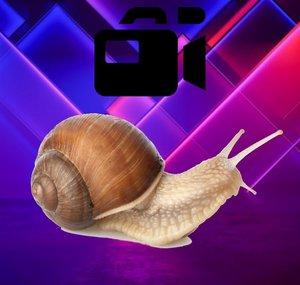 YaBoiSnale VODs