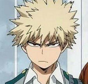 BAKUGOU MEMES
