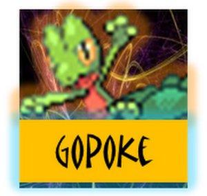 gopokemon121