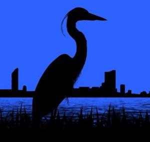 Heron Boy