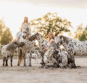 Human and Horse Academy